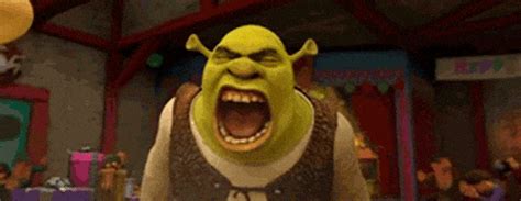 Shrek GIFs - Get the best GIF on GIPHY