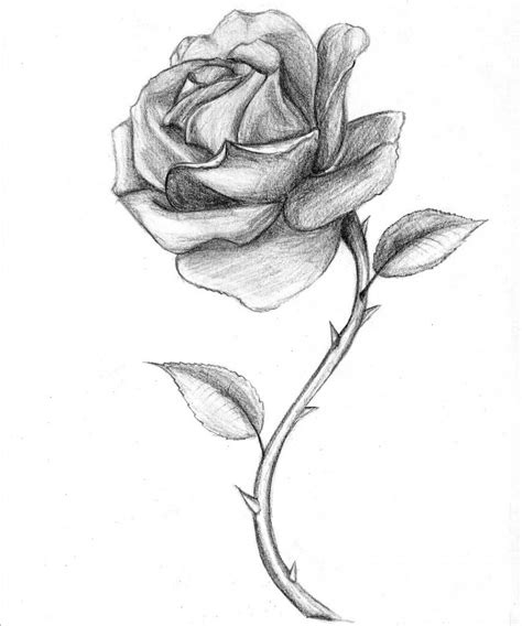 Black And White Drawings Of Roses Black And Red Roses Drawings Bouquet ...