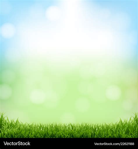 Nature green background with bokeh and grass Vector Image