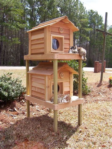 Cat House Design Images - Modern Cat Houses of 2024