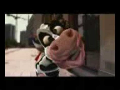 Crazy Cow - I like the moo moo - YouTube