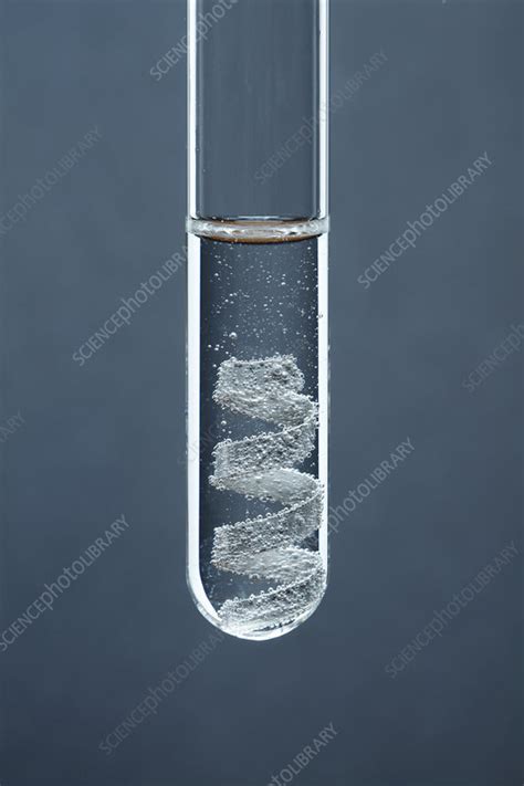 Magnesium reacts with hydrochloric acid - Stock Image - C028/0732 ...