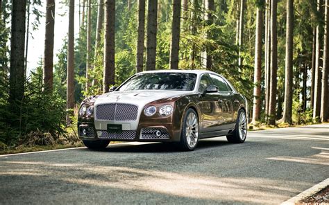 2014 Mansory Bentley Flying Spur Wallpaper | HD Car Wallpapers | ID #4270