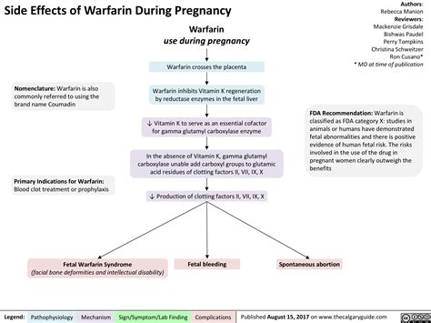 Side Effects of Warfarin During Pregnancy | Calgary Guide