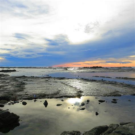 Kaikoura Peninsula Walkway: All You Need to Know BEFORE You Go