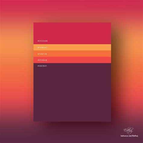 Color Palette Themes