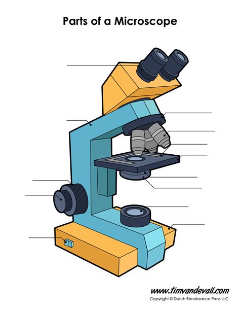 Microscope Diagram Labeled, Unlabeled and Blank | Parts of a Microscope