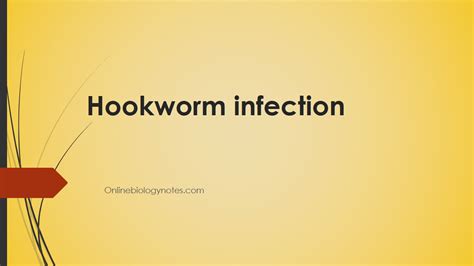 Hookworm infection: life cycle, transmission, pathogenesis, diagnosis ...