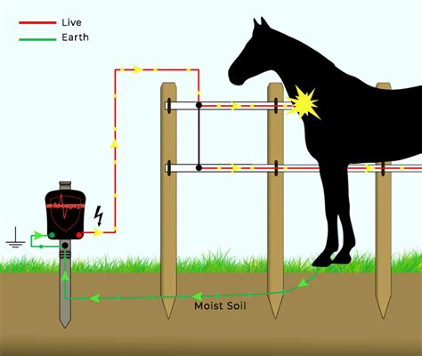 Electric Fencing Help & Advice