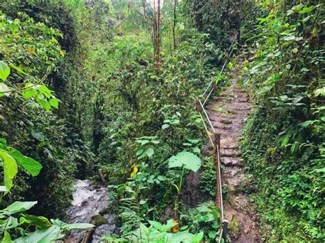 How To Visit The 7 Mindo Waterfalls In The Ecuador Cloud Forest ...