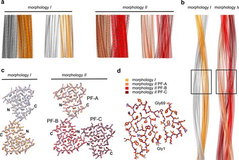 Cryo-EM structures of AA amyloid fibrils purified from diseased ...