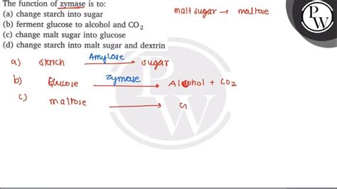 The function of zymase is to: (a) change starch into sugar (b) ferment ...