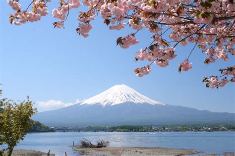 Japanese Beach Towel, Sakura Cherry Trees Mountain Fuji Under The Red ...