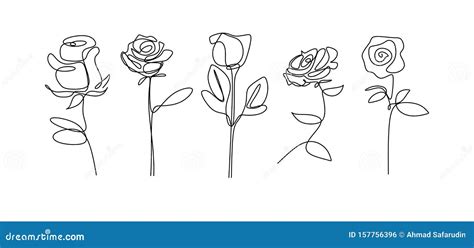 Rose Flower Continuous Line Drawing Single Hand Drawn Set Element ...