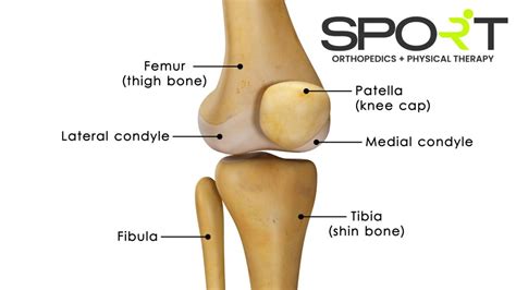 Knee Pain Location