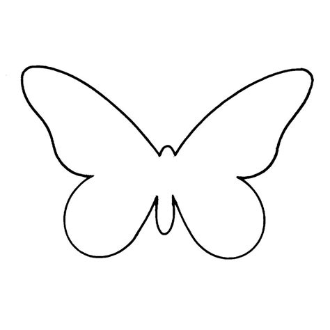 Pin on Butterfly