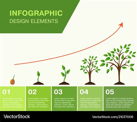 Infographic of planting tree seeds sprout Vector Image