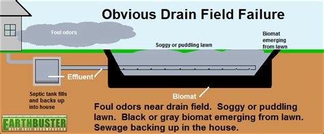 How Do You Fix A Failed Septic Drain Field - Best Drain Photos Primagem.Org