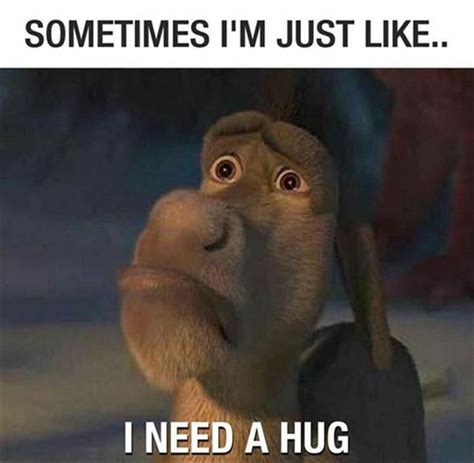 Funny Pictures Of The Day - 73 Pics | I need a hug, Shrek donkey, Need ...