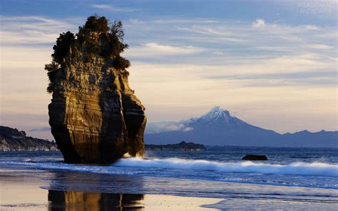 🔥 [40+] New Zealand Beach Wallpapers | WallpaperSafari