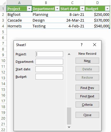 How to create and use Data Entry Form in Excel