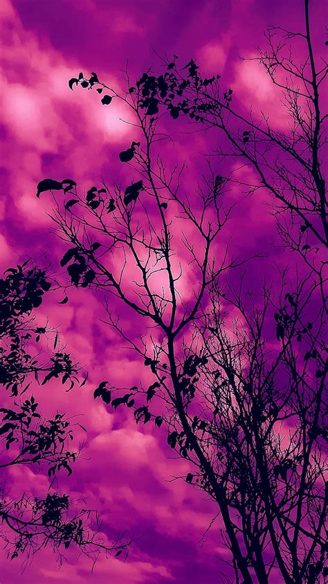 Dia rosado., aesthetic, sky, art, pink, blue, nature, purple, page, day ...