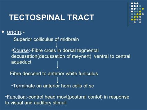 Extrapyramidal tracts and disorders