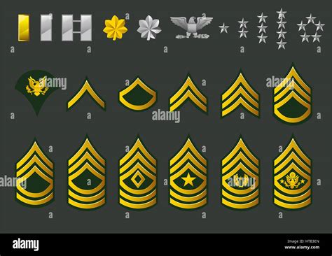 Army Enlisted Rank Structure