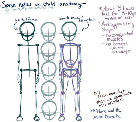 Anatomy drawing, Drawing body proportions, Anatomy reference