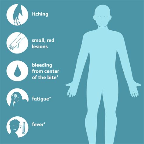 Signs and Symptoms of Bedbug Bites