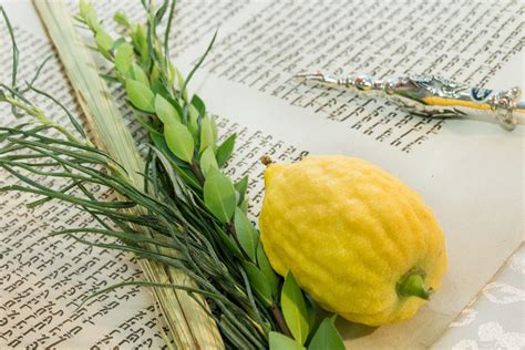 From festivals to feasts: four of the top Sukkot events in Israel ...