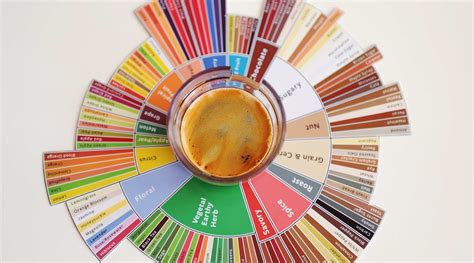 Guide to the Coffee Taster's Flavour Wheel | Portfolio Coffee