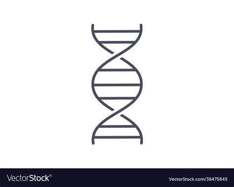 Simple line drawing dna spiral molecule Royalty Free Vector