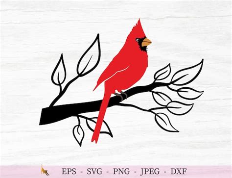 Cardinal Svg Bird on Branch Svg Bird Svg Cut Files for Cricut | Etsy