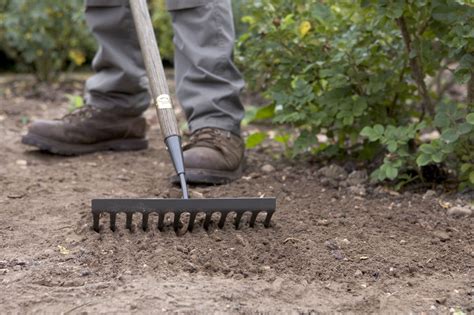 Applying Mulch (Step-By-Step) - gardenersworld.com