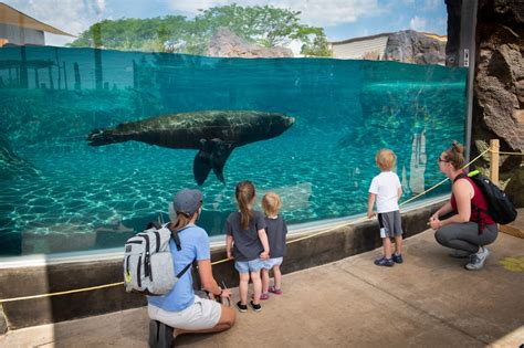 Columbus zoo and aquarium exhibits - chartjord