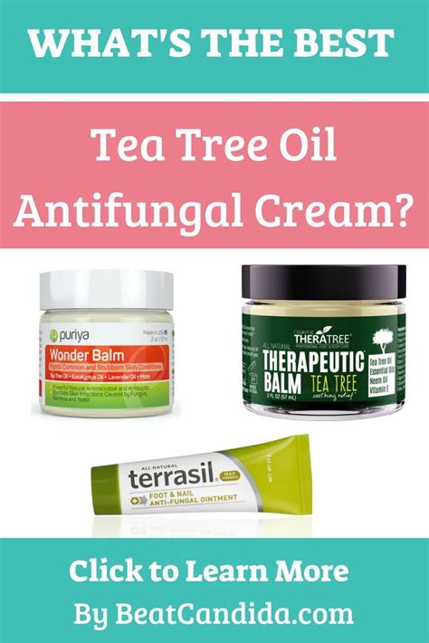 What's the Best Tea Tree Oil Antifungal Cream? - Beat Candida ...