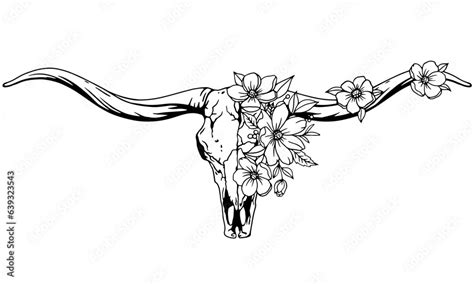 Texas longhorn black and white vector illustration. Longhorn skull with ...