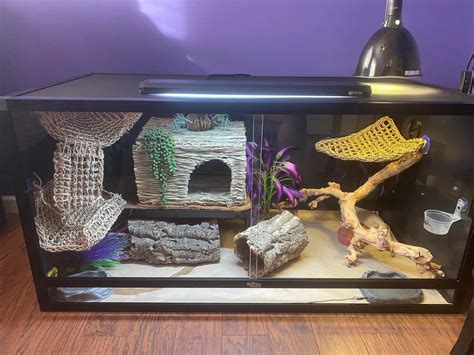 How to build a 120 gallon bearded dragon tank - kobo building