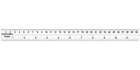 12 Inch Printable Ruler