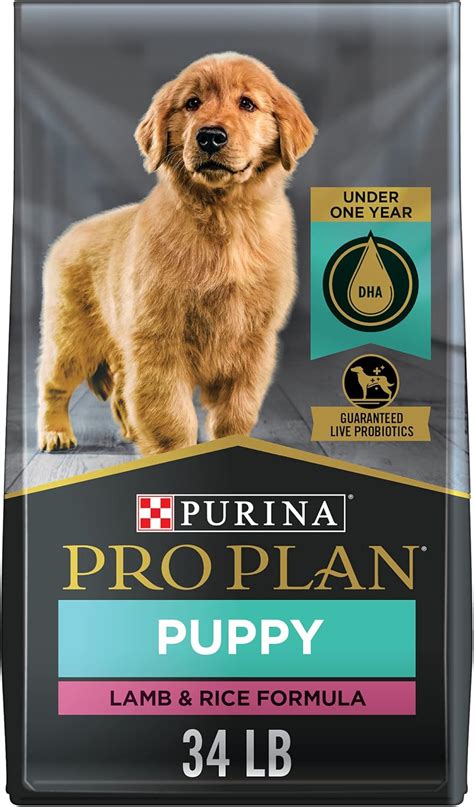 Purina Pro Plan Vs Blue Buffalo - Which Is Better? [In 2022]