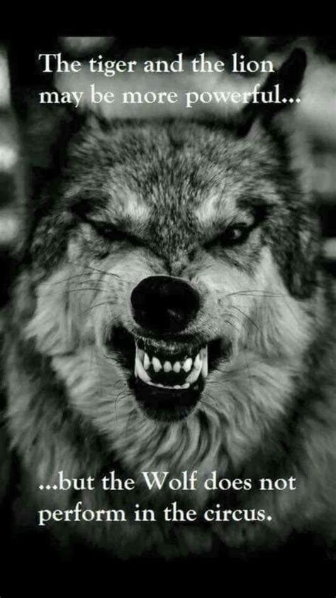 but the Wolf does not perform in the circus. | #INTJ Wolf Quotes, Me ...