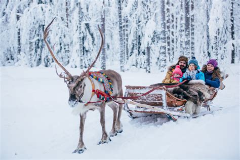 reindeer-ride-santa-claus-village-rovaniemi-lapland-finland (16) (1 ...