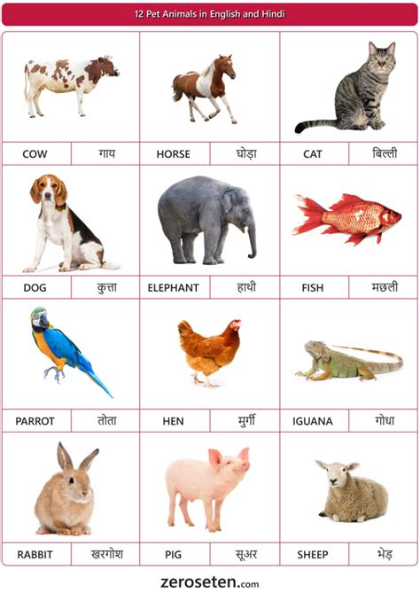 12 Pet Animals Names in Hindi and English - Zero se Ten Blog