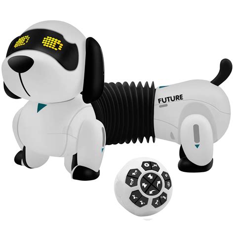 Buy AvoKlan Remote Control Robot Dog, Interactive & Smart Dancing ...