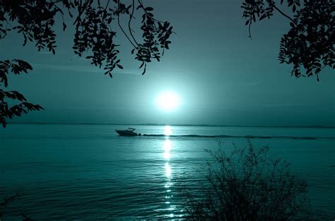 Download Moonlight, Night Sky, Lake. Royalty-Free Stock Illustration ...