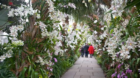 New York Botanical Garden – Garden Review | Condé Nast Traveler