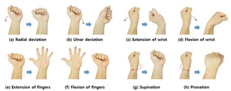 Combating Wrist Pain - Prevention and Treatment Measures