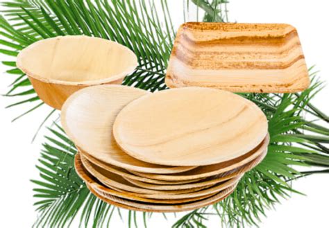 7 Unique Palm Leaf Disposable Plates You Need to Defeat Plastic