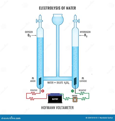 Electrolysis Of Water Forming Hydrogen And Oxygen Vector Illustration ...